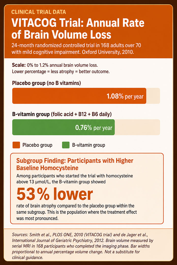 VITACOG Trial Brain Volume Loss Infographic VITACOG Trial Brain Volume Loss Infographic