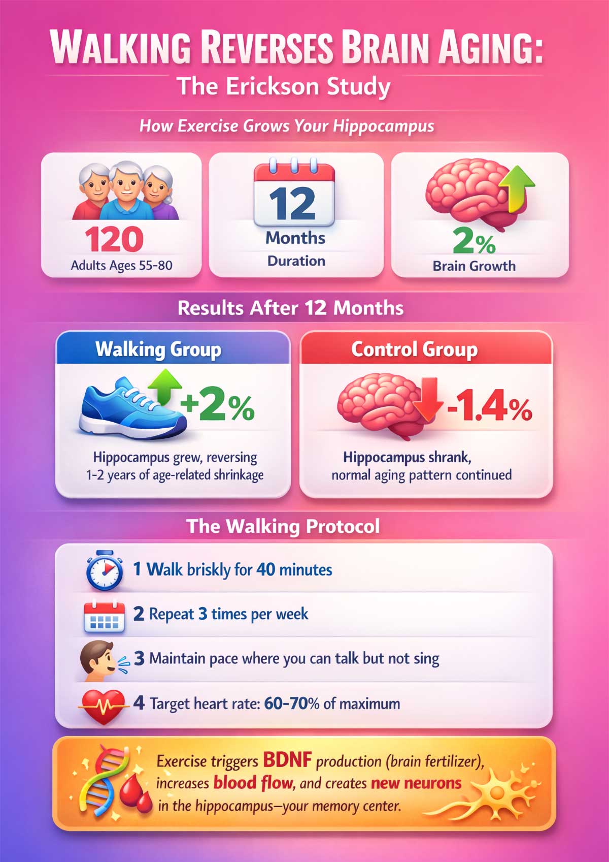 Walking Reverses Brain Aging The Erickson Study