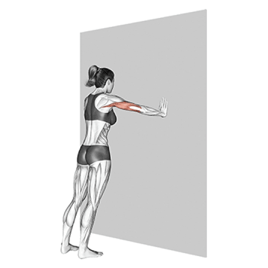 Wall Push ups