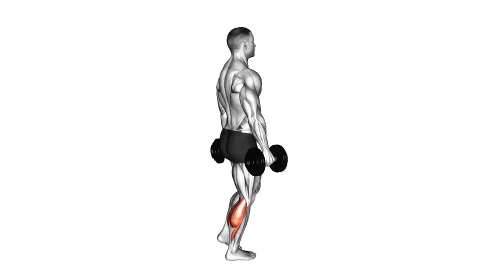 Weighted Single Leg Heel Raise