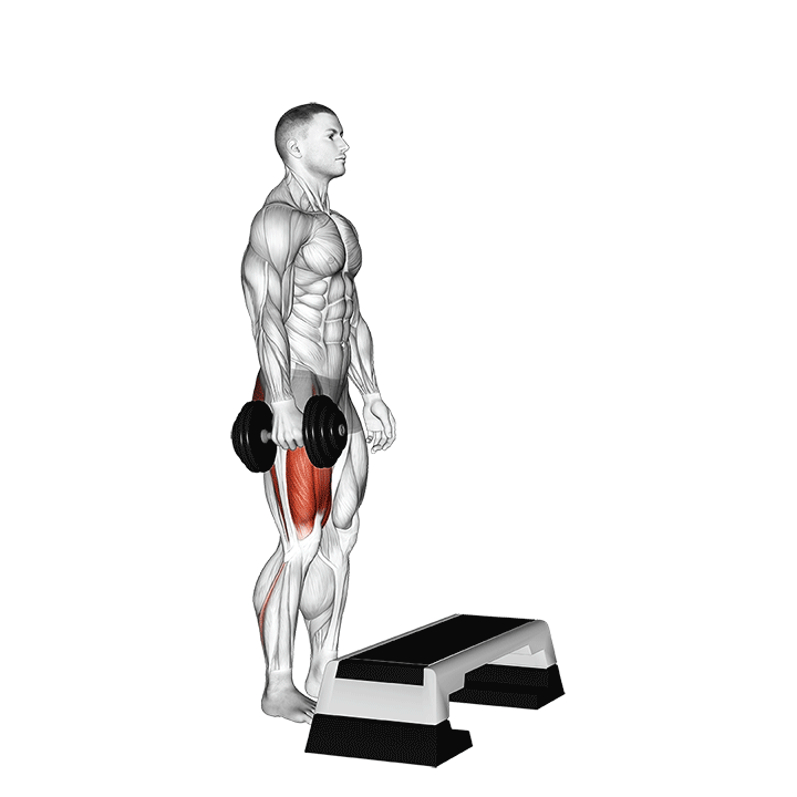 weighted step up weighted step up