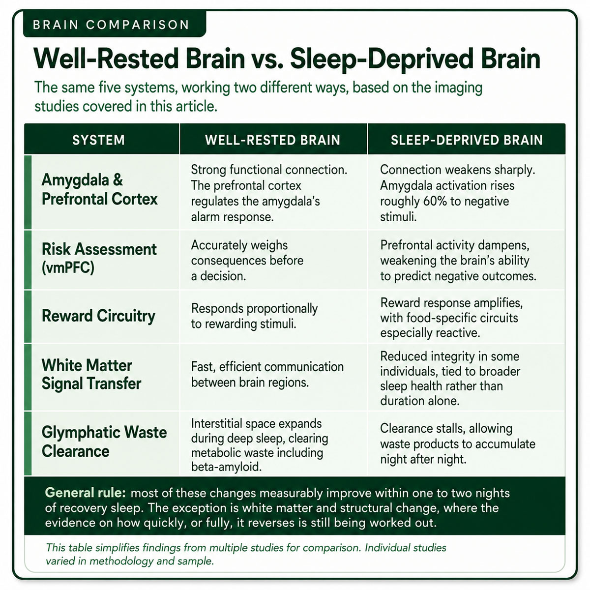 Well Rested Brain vs. Sleep Deprived Brain Well Rested Brain vs. Sleep Deprived Brain