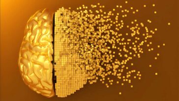 What Causes Memory Loss