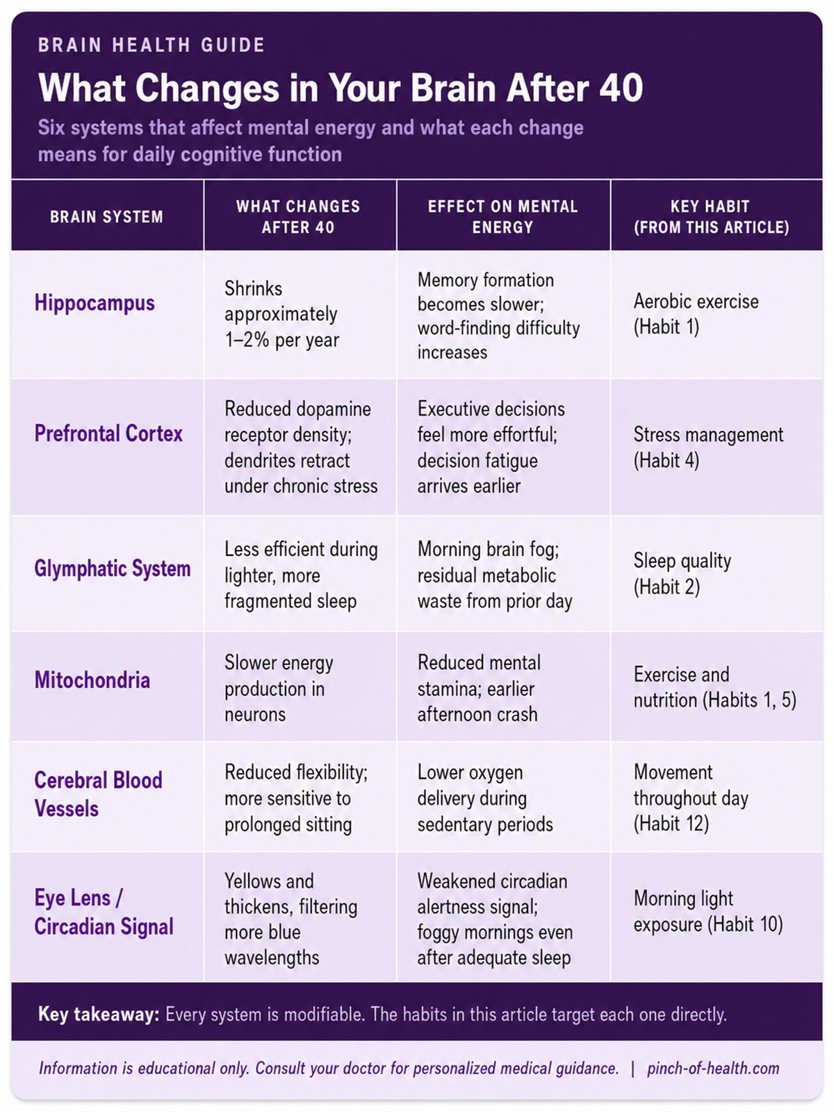 What Changes in Your Brain After What Changes in Your Brain After