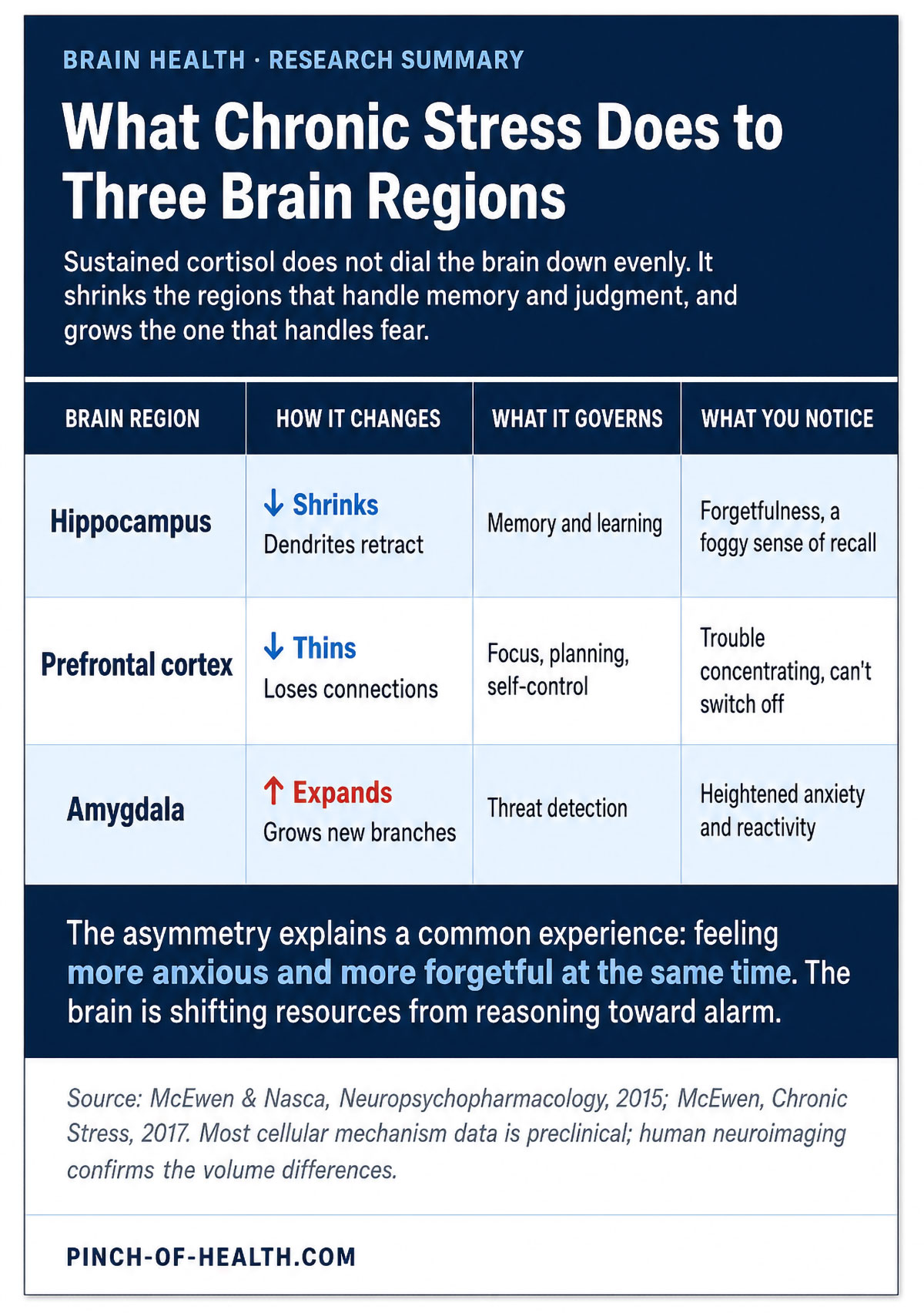 What Chronic Stress Does to Three Brain Regions