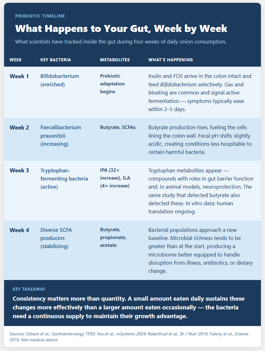 What Happens to Your Gut, Week by Week What Happens to Your Gut, Week by Week
