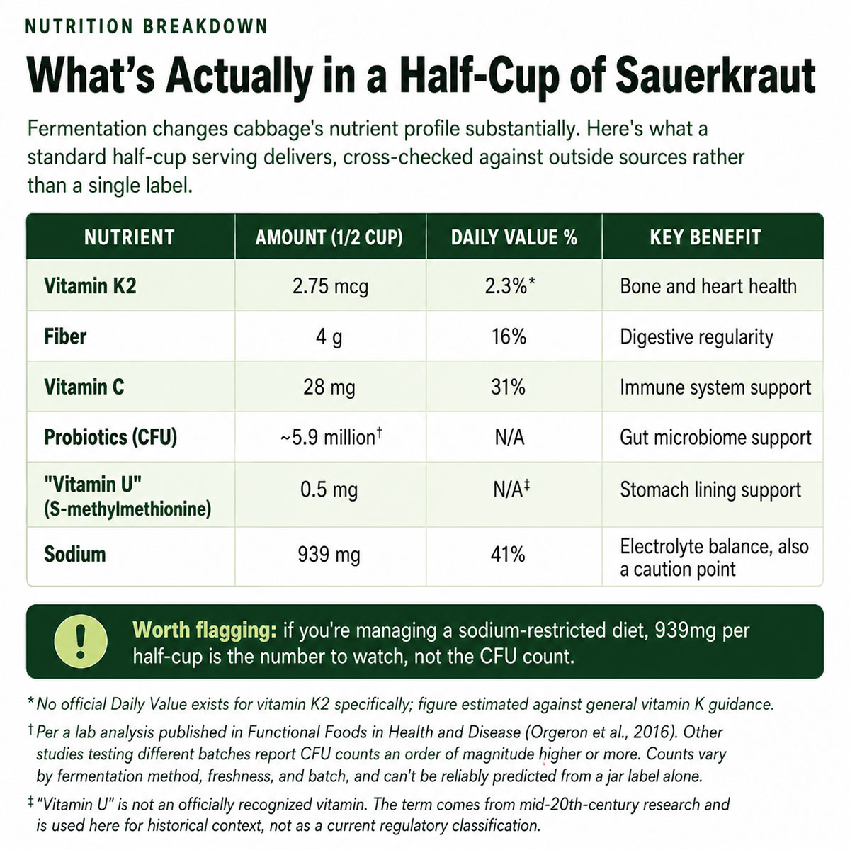 What's Actually in a Half Cup of Sauerkraut What's Actually in a Half Cup of Sauerkraut