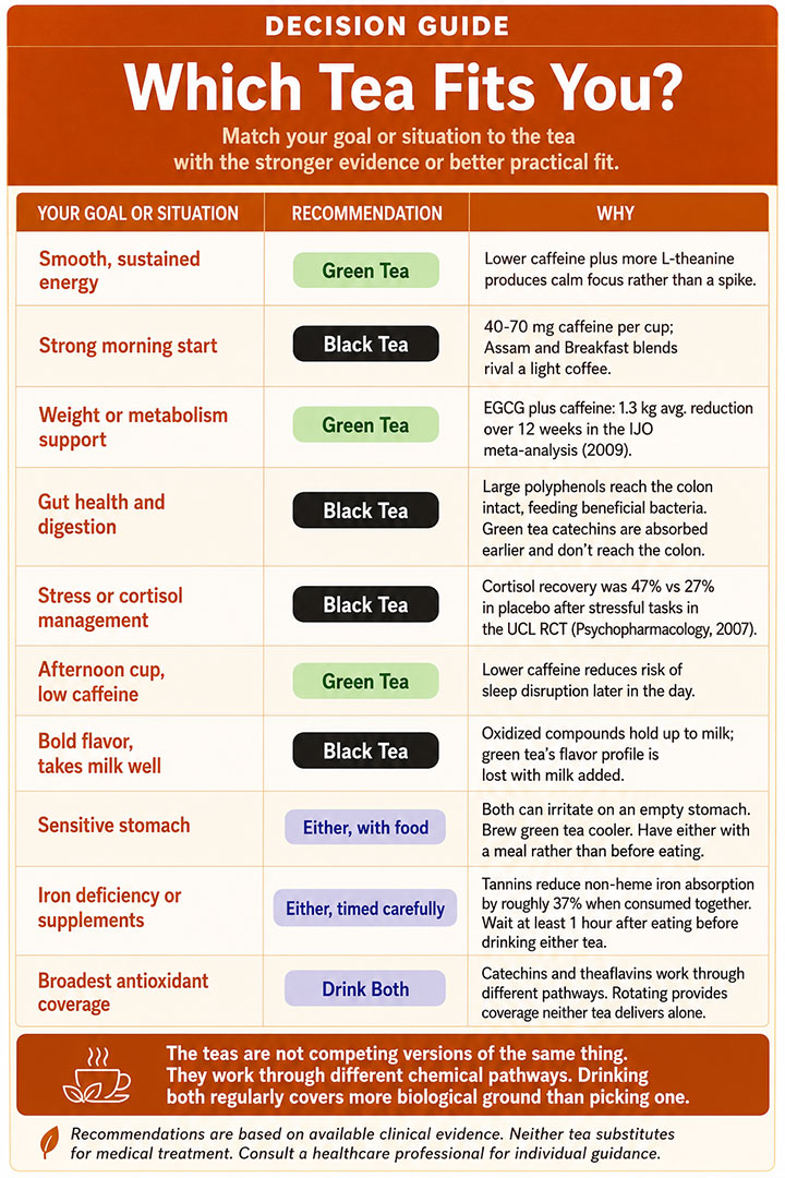 Which Tea Fits You Which Tea Fits You