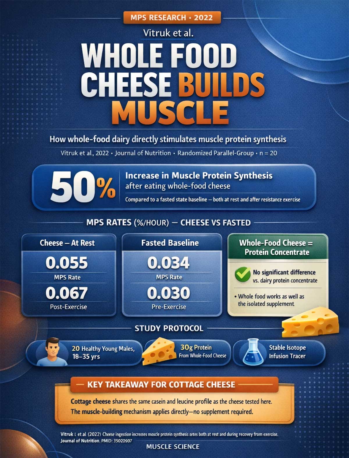 Whole Food Cheese Boosts Muscle Protein Synthesis