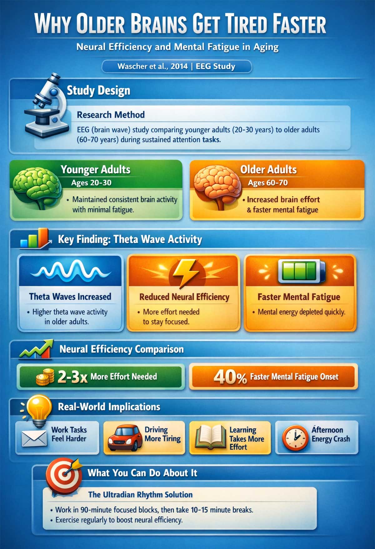 Why Older Brains Get Tired Faster Why Older Brains Get Tired Faster