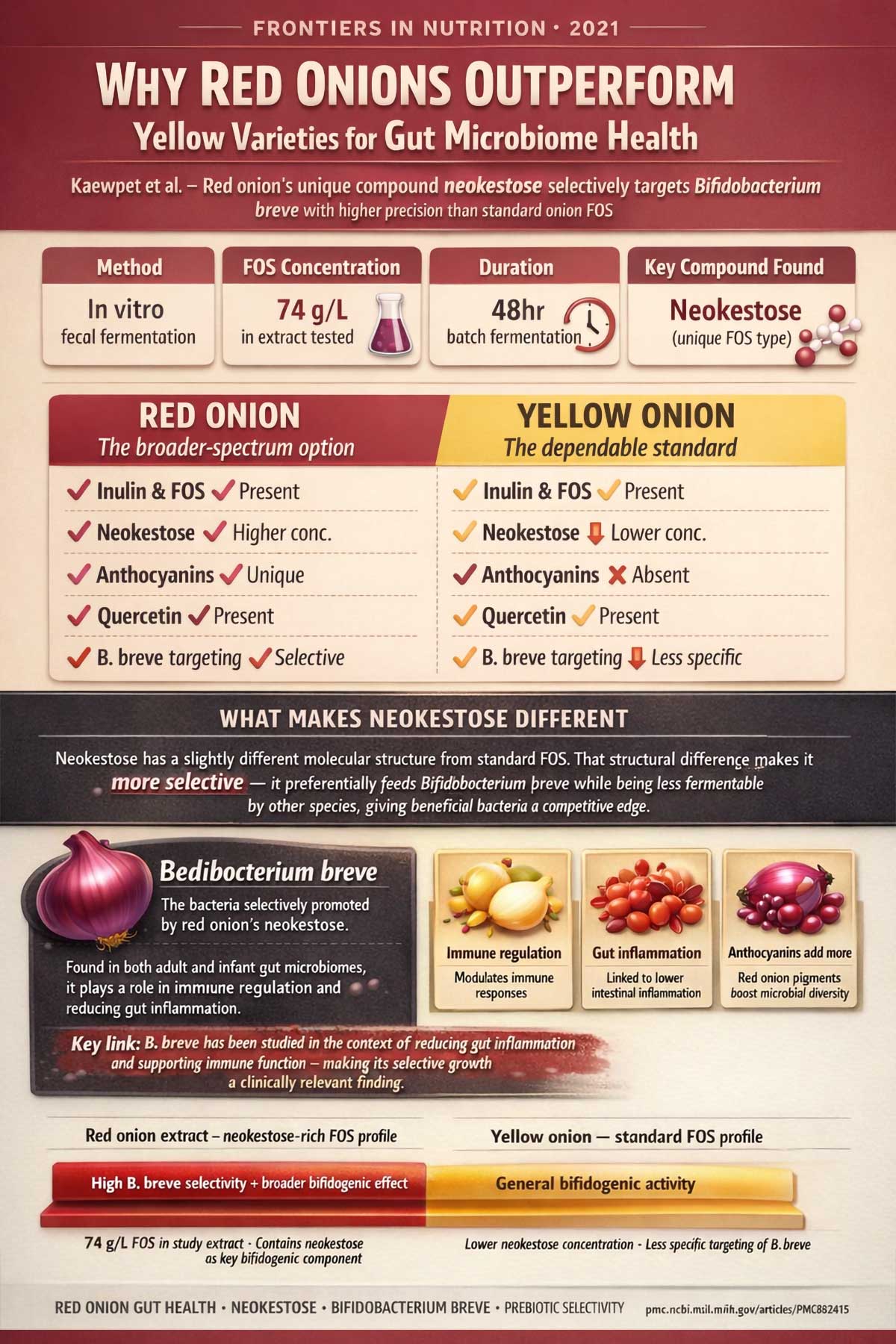 Why Red Onions Outperform Yellow Varieties for Gut Microbiome Health