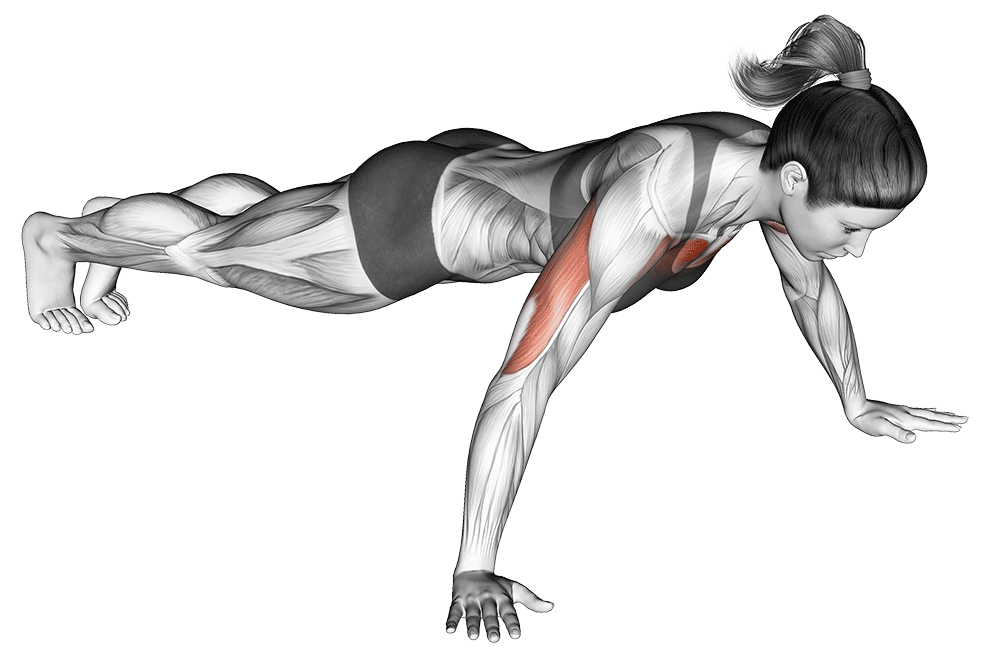 Wide Grip Push Up