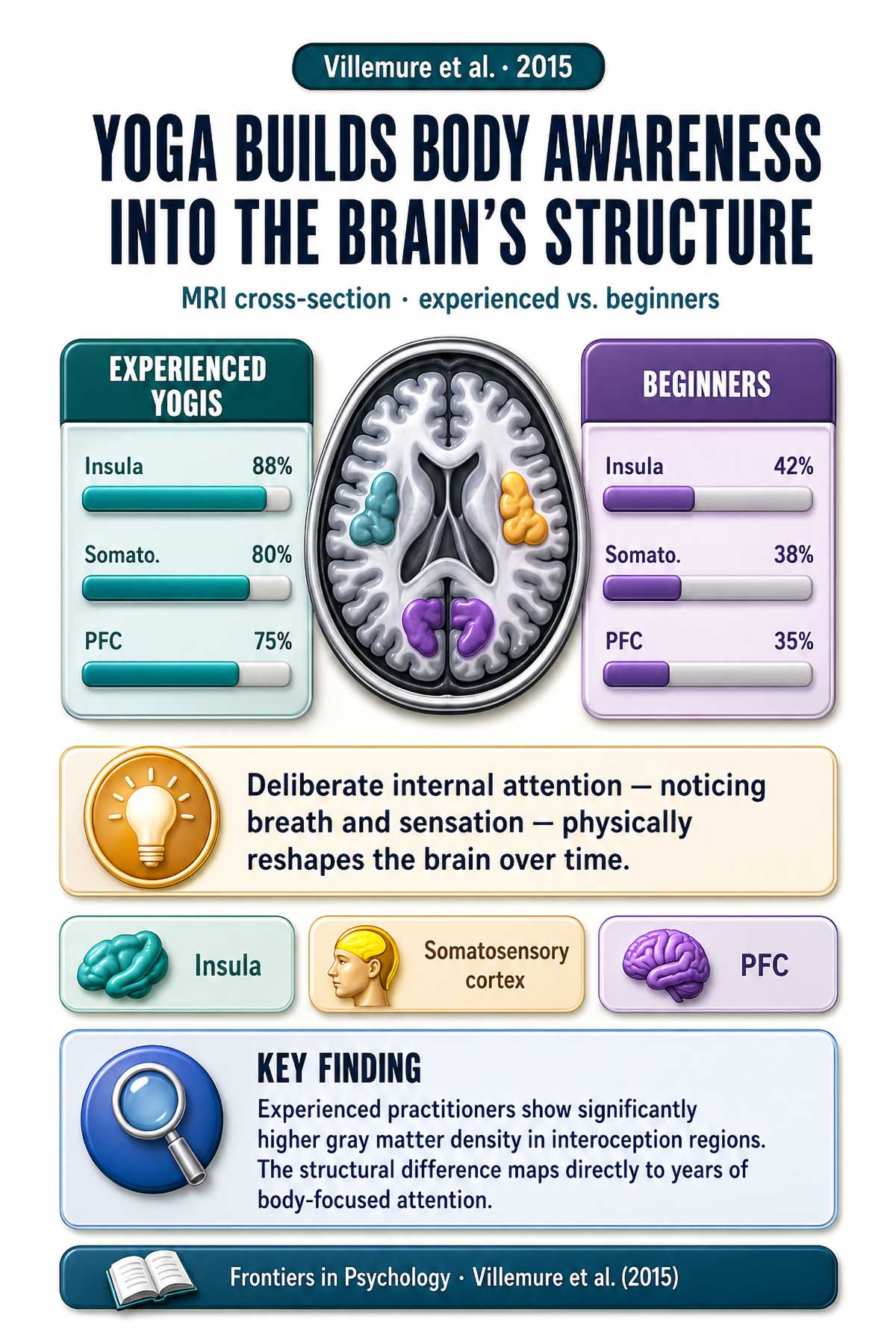 Yoga Builds Body Awareness Into the Brain's Structure