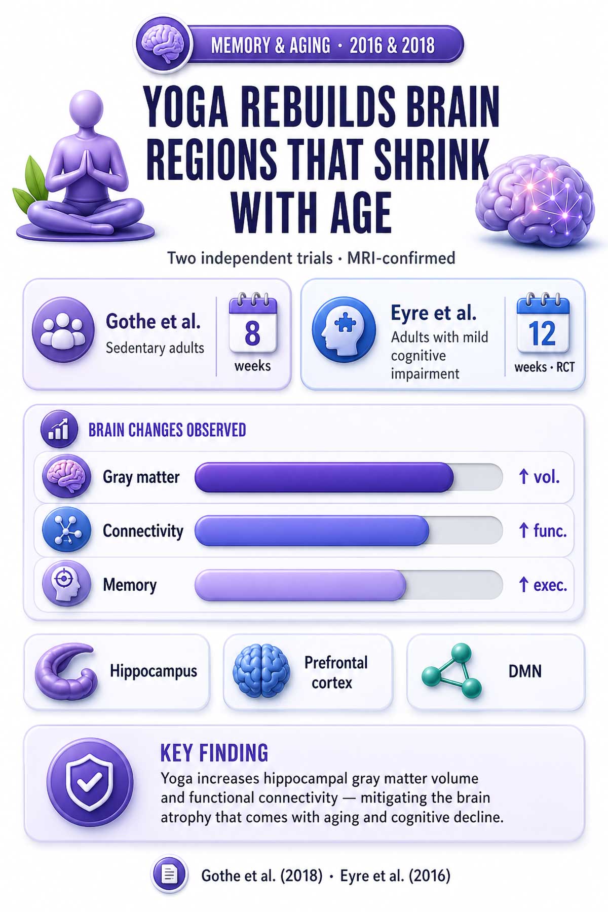 Yoga Rebuilds Brain Regions That Shrink With Age