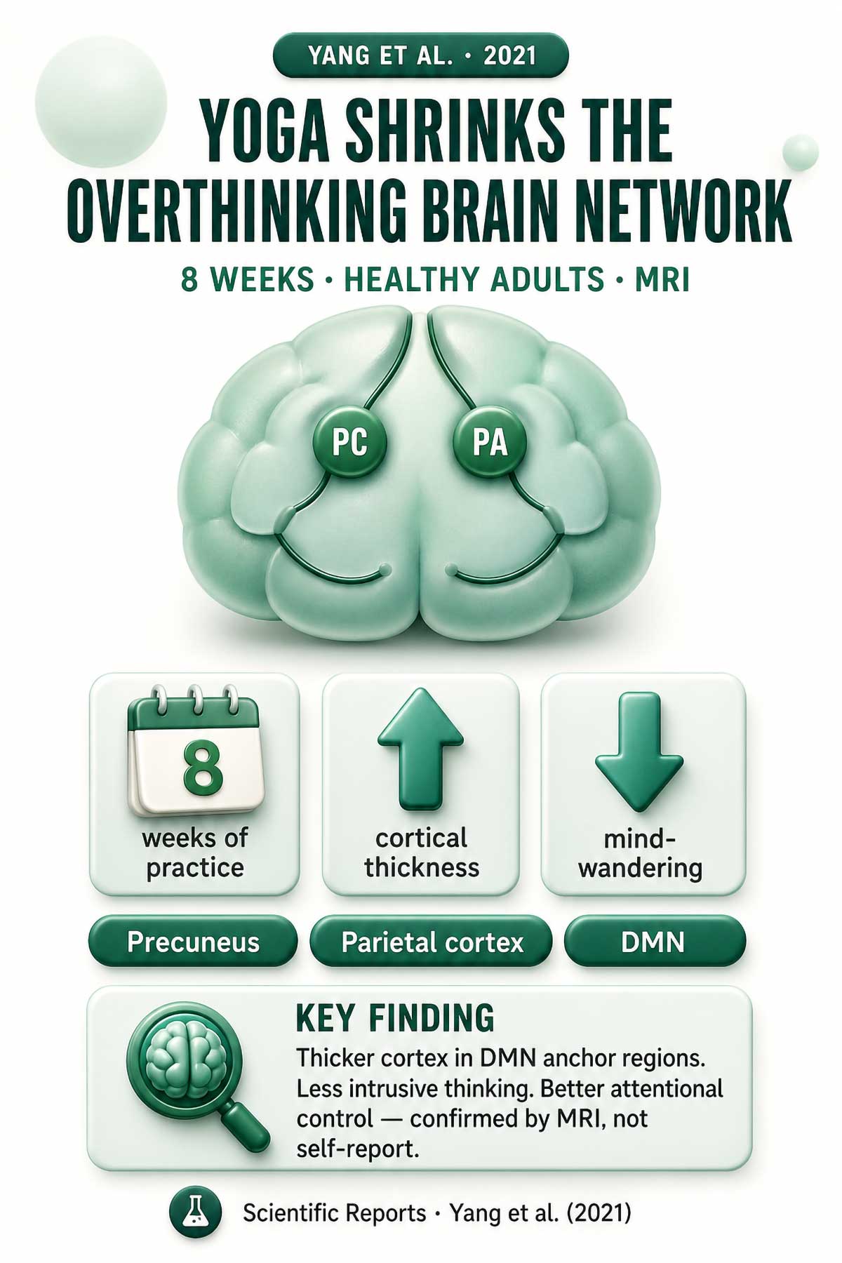Yoga Shrinks the Overthinking Brain Network