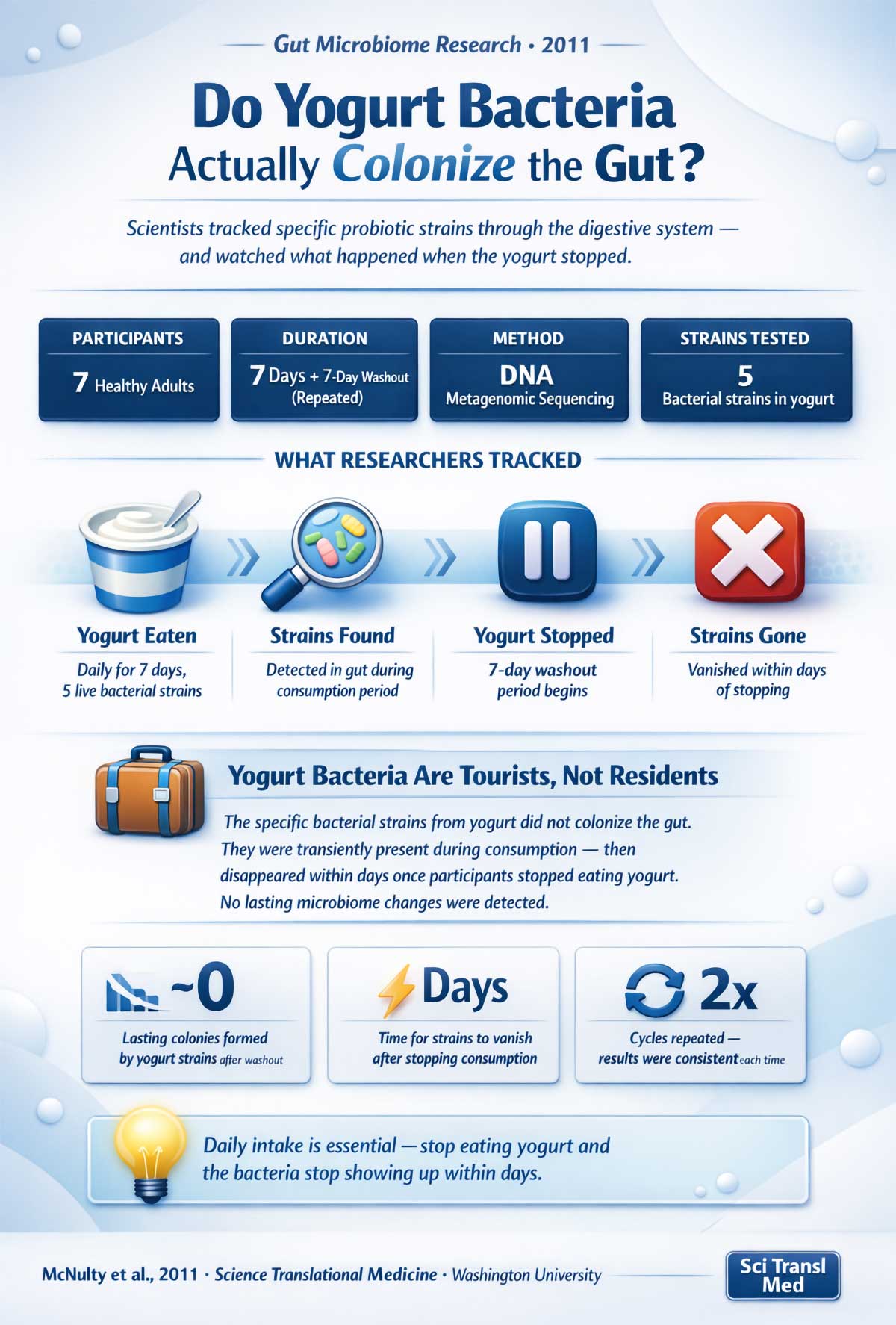 Yogurt Gut Bacteria Study Yogurt Gut Bacteria Study
