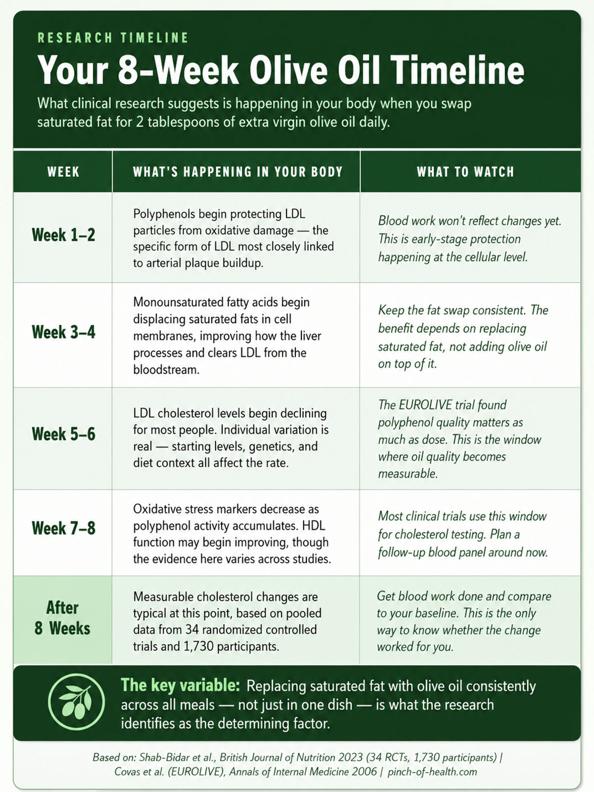 Your Week Olive Oil Timeline Your Week Olive Oil Timeline