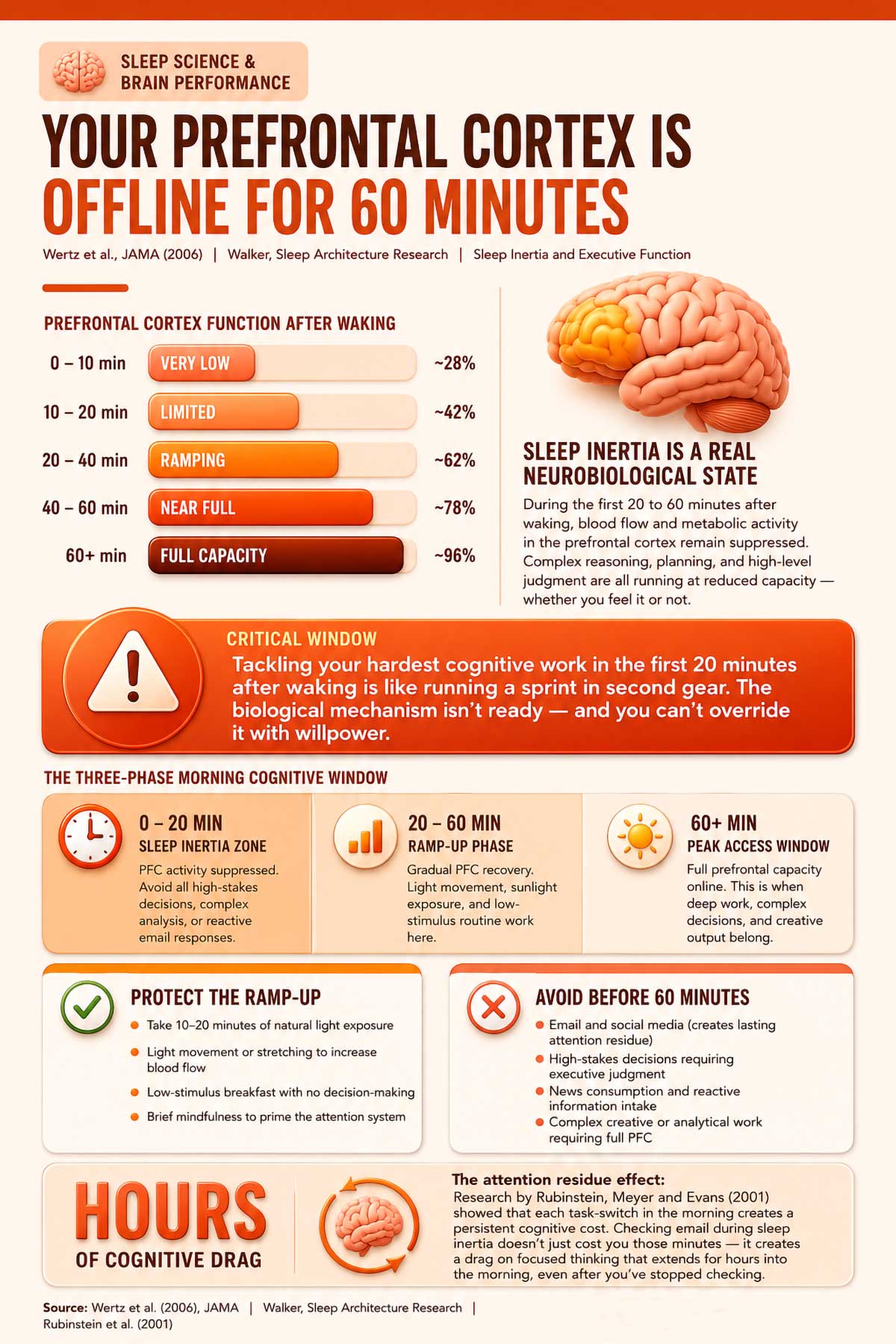 Your Prefrontal Cortex Is Offline for Minutes After You Wake Up Your Prefrontal Cortex Is Offline for Minutes After You Wake Up